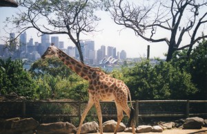 Australia 2000 - 014