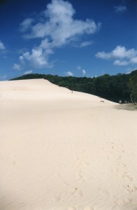 Australia 2000 - 035