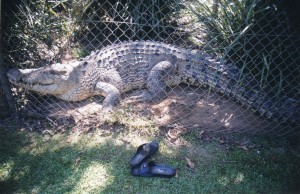 Australia 2000 - 076