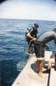 Australia 2000 - 081