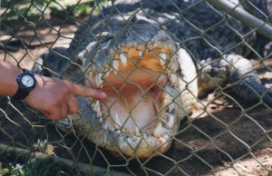 Australia 2000 - 108