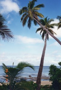Fiji005