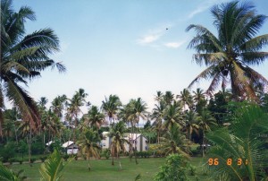 Fiji011