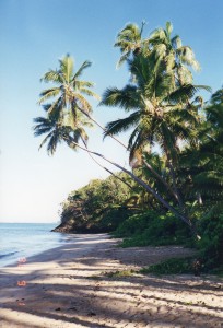 Fiji014
