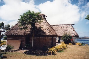 Fiji054