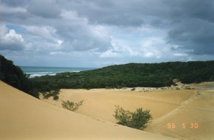 Fraser Island003