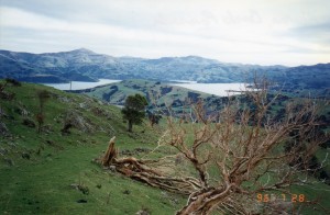 New Zealand018